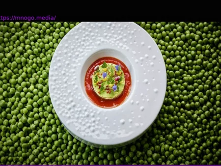 Mouse Chef’s Masterpieces: A Matter of Taste