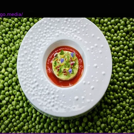 Mouse Chef’s Masterpieces: A Matter of Taste