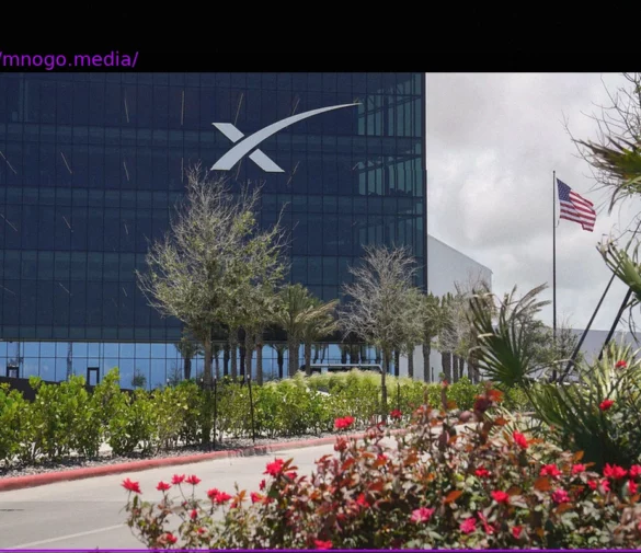 SpaceX на пороге IPO: Лидер рынка в своей категории