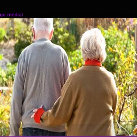 Abuse of Care: «People are financing their holiday trips, including holiday apartments, with it»