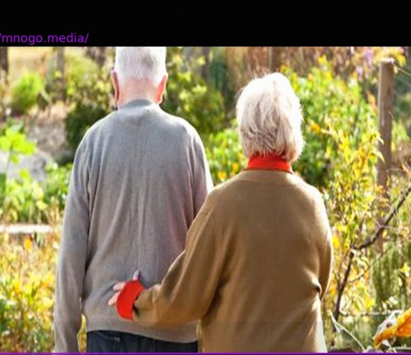 Abuse of Care: «People are financing their holiday trips, including holiday apartments, with it»