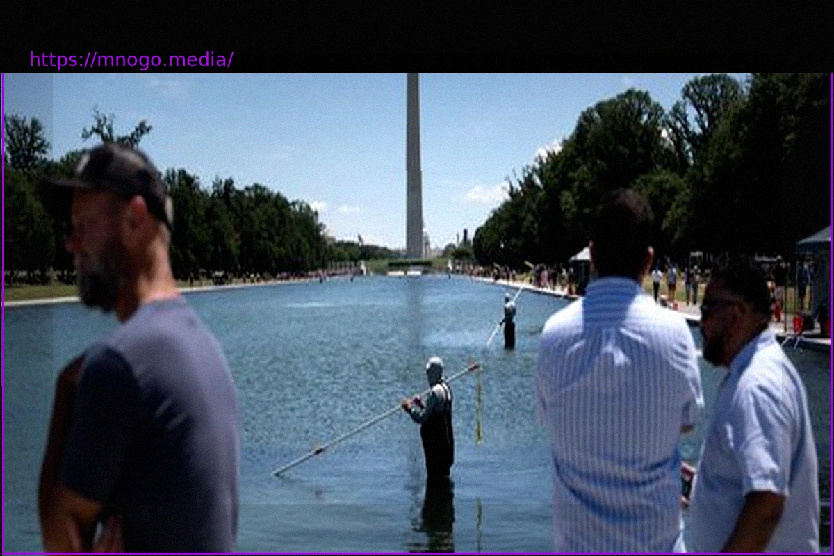 Preview Donald Trump blames vandalism for peeling paint and algae at Lincoln Memorial Reflecting Pool