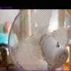 Frankfurt’s Response: First Heatstroke Patients Admitted to Hospitals
