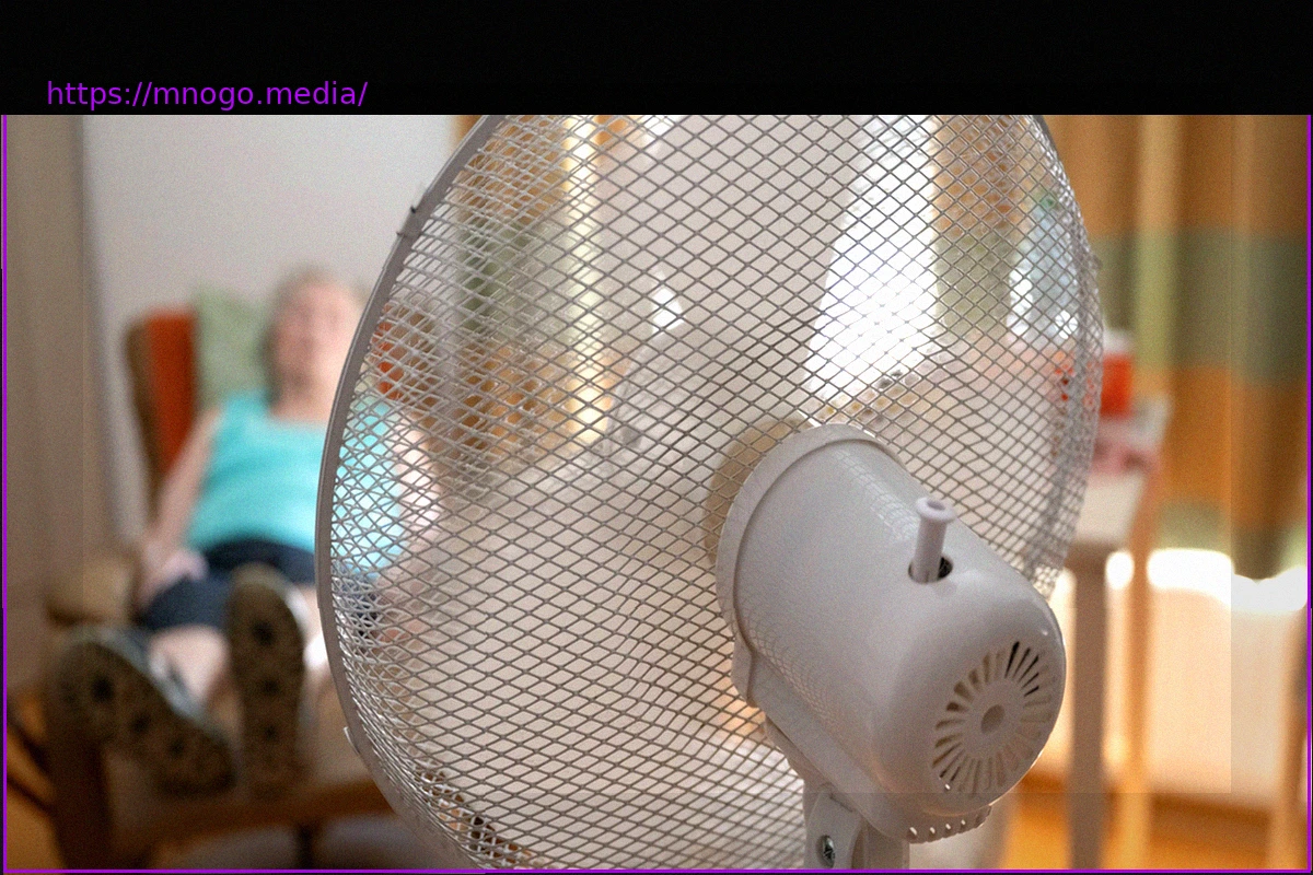 Preview Frankfurt’s Response: First Heatstroke Patients Admitted to Hospitals