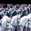 Rom: Pferde brechen bei Vorbereitung von Militärparade aus – vier Verletzte