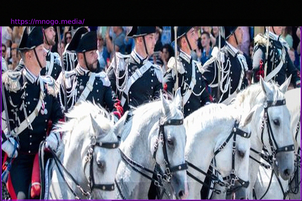 Preview Rom: Pferde brechen bei Vorbereitung von Militärparade aus – vier Verletzte