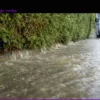 Hochwasser in Rheinland-Pfalz: Rhein-Lahn-Kreis von Fluten betroffen