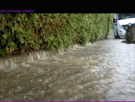 Hochwasser in Rheinland-Pfalz: Rhein-Lahn-Kreis von Fluten betroffen