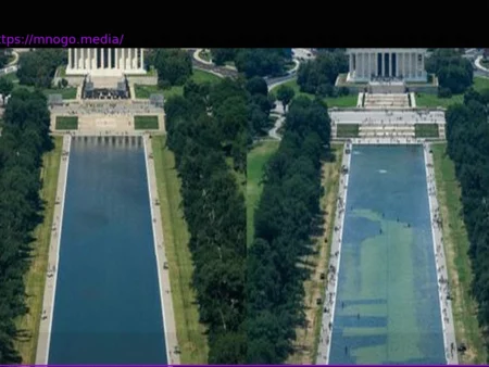 Donald Trump und sein Reflecting Pool: Von Königsblau zu Algengrün