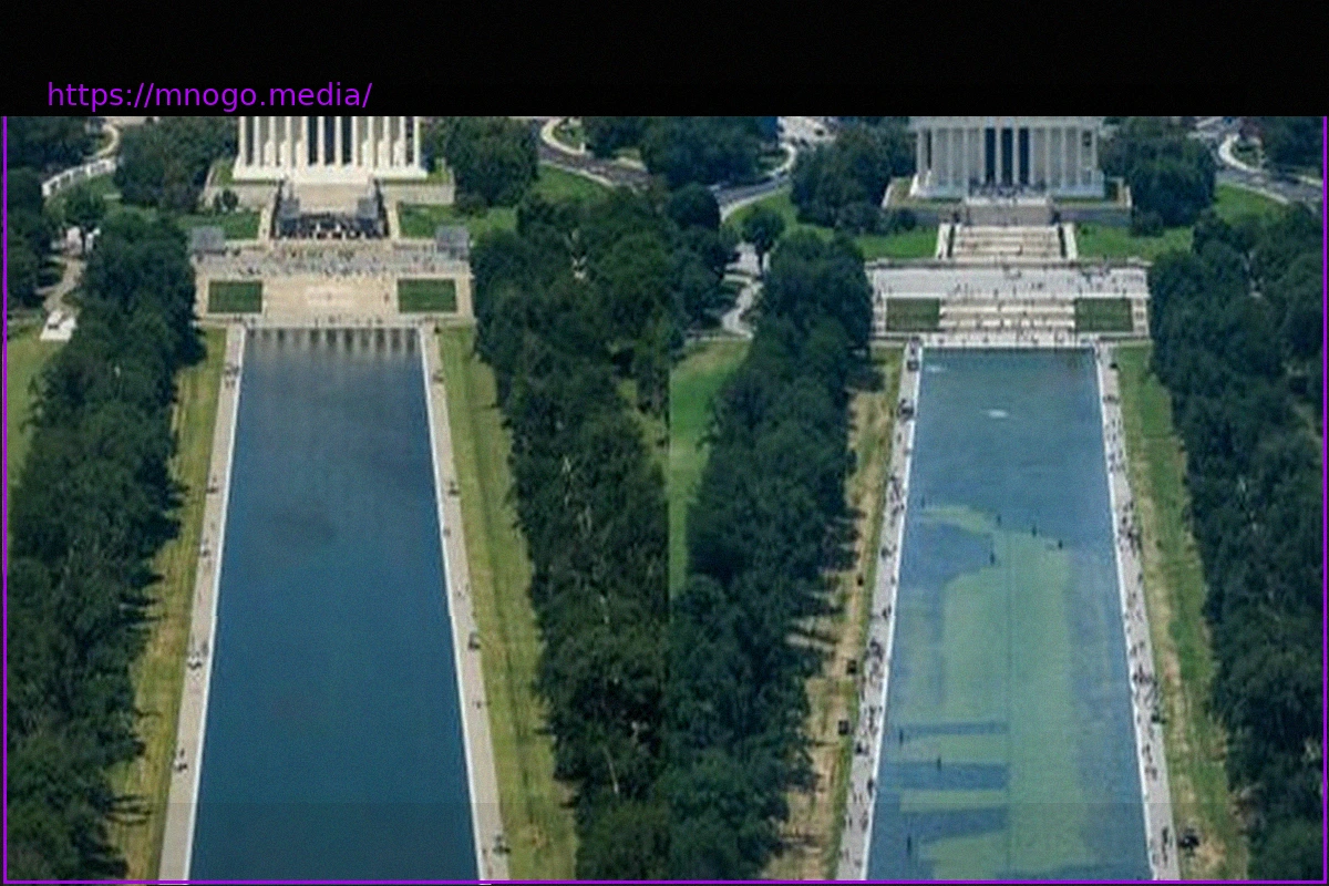 Preview Donald Trump und sein Reflecting Pool: Von Königsblau zu Algengrün