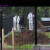 В Польше врач предположительно захоронила 34 плода в саду