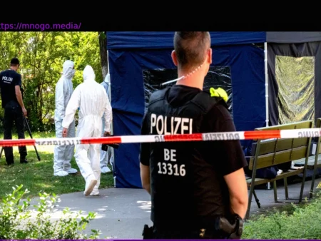 Transnational Repression: Threats Against Activists and the Challenge of Recognition in Europe