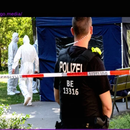Transnational Repression: Threats Against Activists and the Challenge of Recognition in Europe