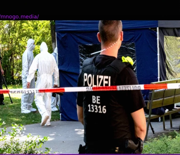 Transnational Repression: Threats Against Activists and the Challenge of Recognition in Europe