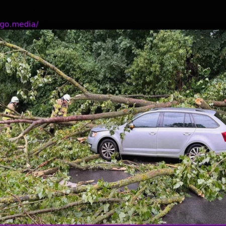 Festival Unterbrochen: Gewitter ziehen über Westen Deutschlands