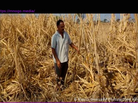 El Niño: India braces for drought