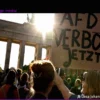 Is the AfD Unconstitutional?