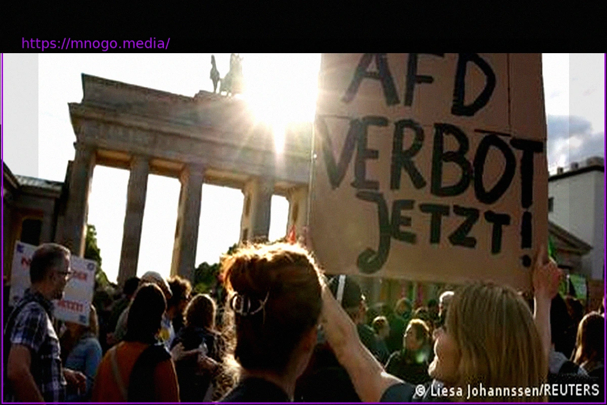 Preview Is the AfD Unconstitutional?