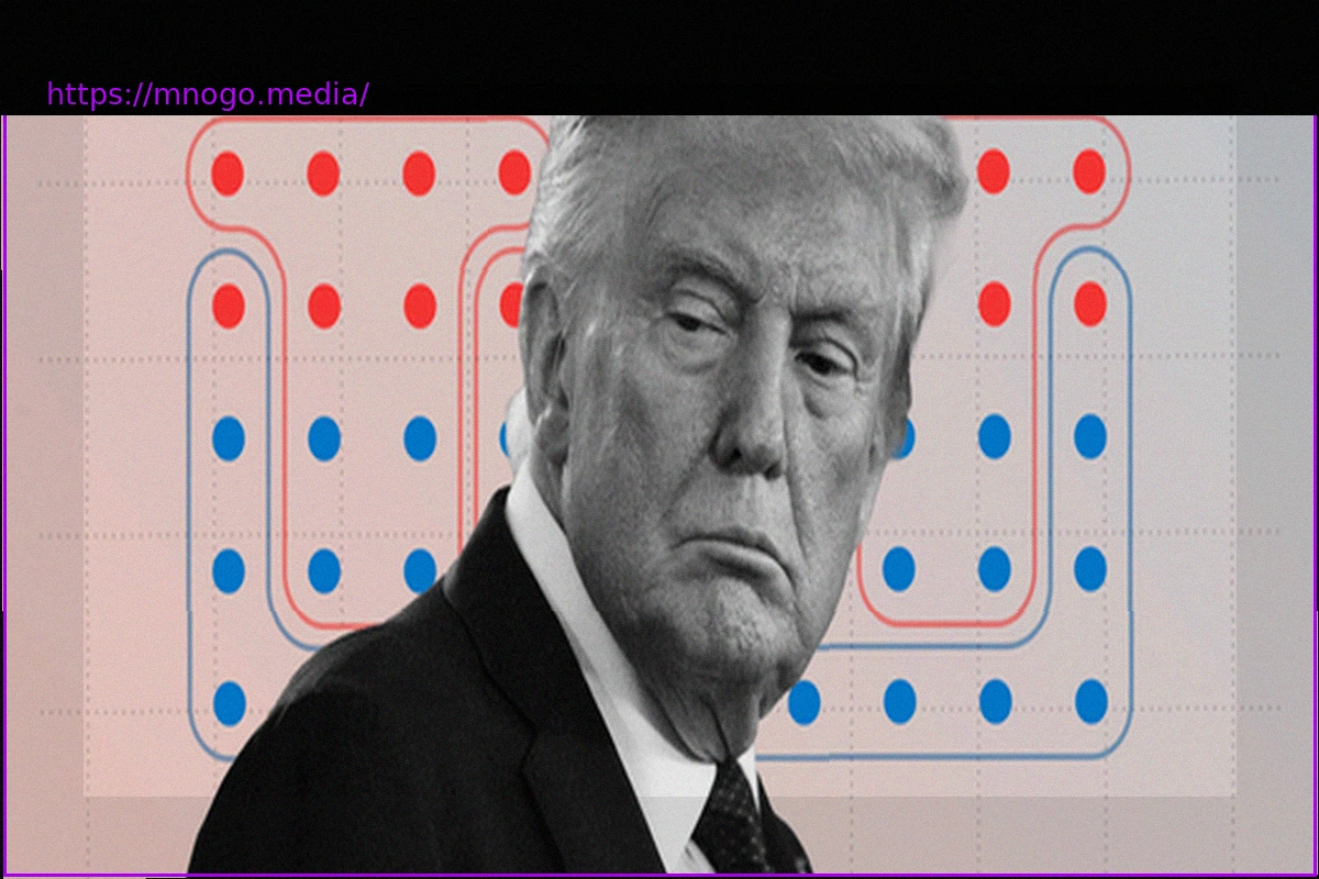 Preview Gerrymandering in the USA: How Donald Trump Reshaped the Electoral System in His Favor